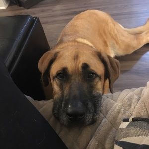 Meet your Posher, Brianna